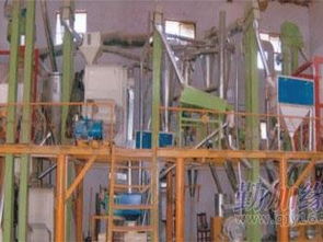 河南鑫豐供應商 專業提供面粉機成套設備及二手面粉機，合作河南工業大學，品質保障